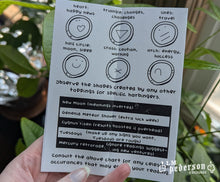 Load image into Gallery viewer, frozen fortunes zine
